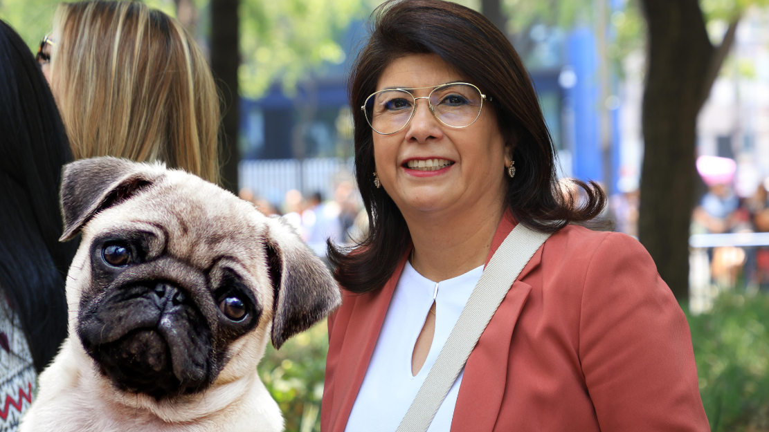 Polémica en redes por video de senadora de Morena que admite haber ordenado el sacrificio de 2,500 perros durante su gestión como alcaldesa de Tecámac