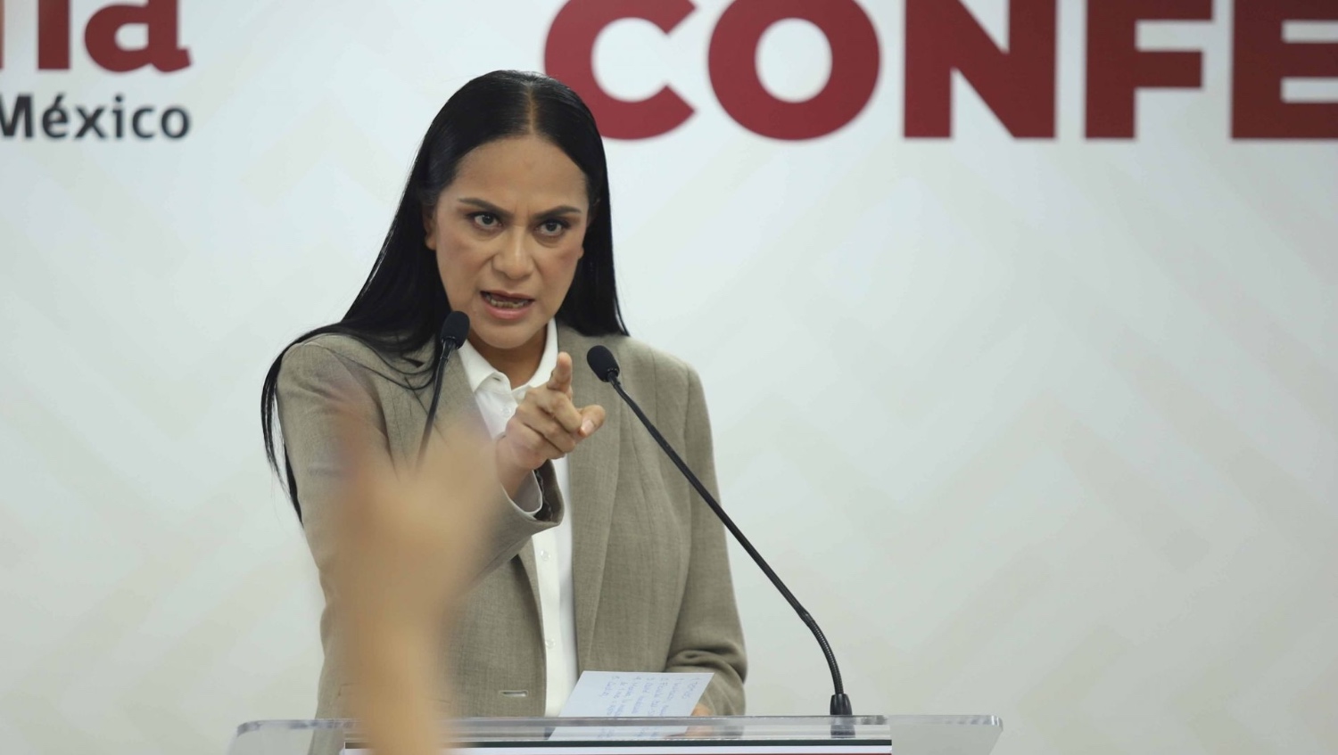 Coahuila 2026: Ariadna Montiel defiende el legado de “Andy”, pero las encuestas exhiben un panorama adverso para Morena