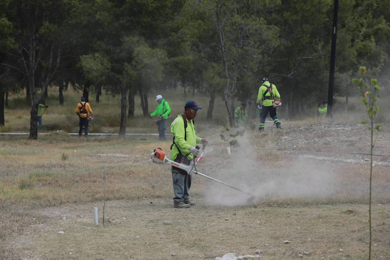 Javier Díaz encabeza rehabilitación integral de plazas y áreas verdes en Parques de la Cañada